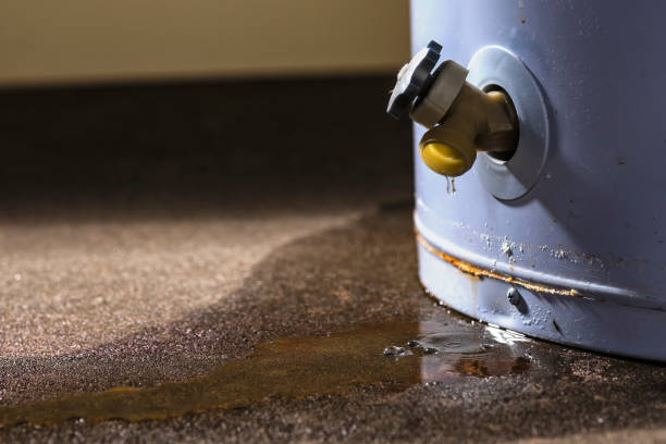 Best Ceiling water damage repair  in Gardner, IL