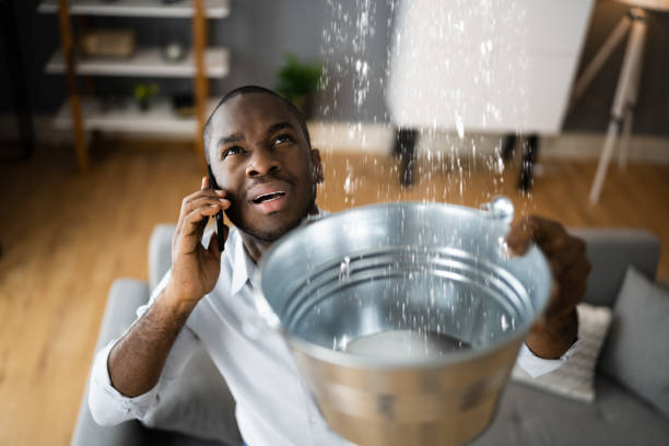 Best Emergency water extraction  in Gardner, IL