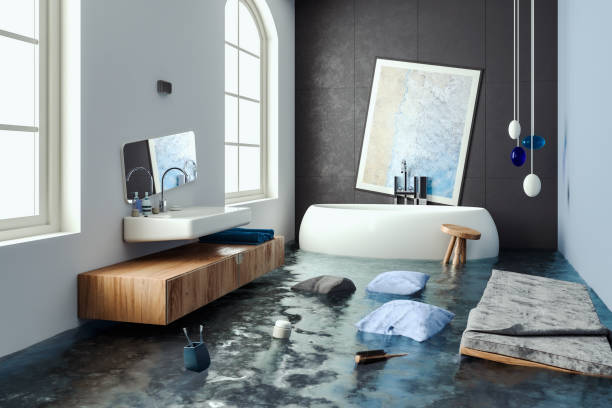 Best Flooded house restoration  in Gardner, IL