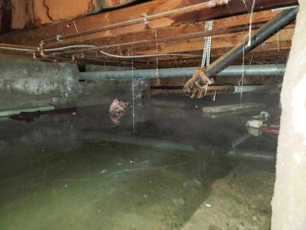 Best Commercial water damage restoration  in Gardner, IL