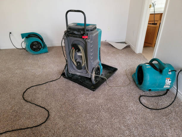 Best Mold removal after water damage  in Gardner, IL