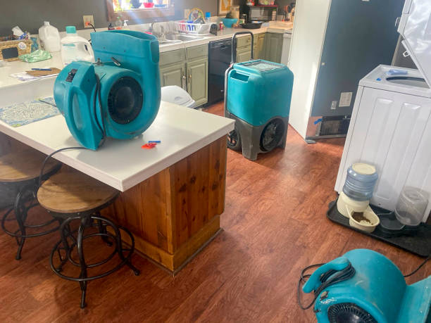 Best Local water damage restoration  in Gardner, IL