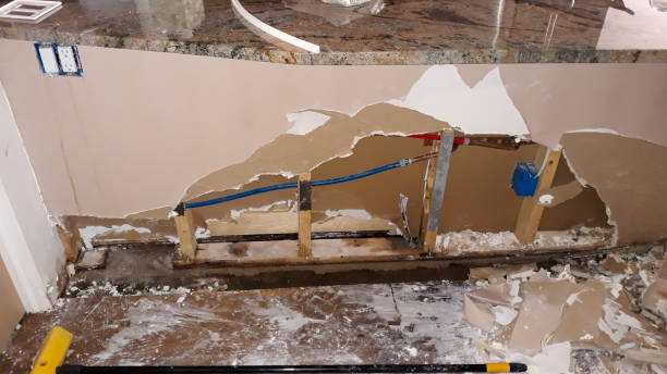 Best Commercial water damage restoration  in Gardner, IL