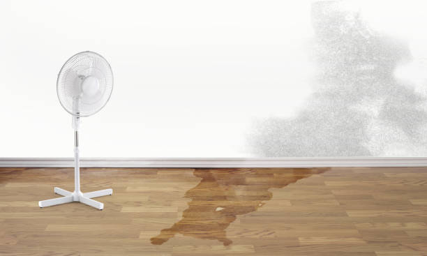 Water damage restoration experts in Gardner, IL