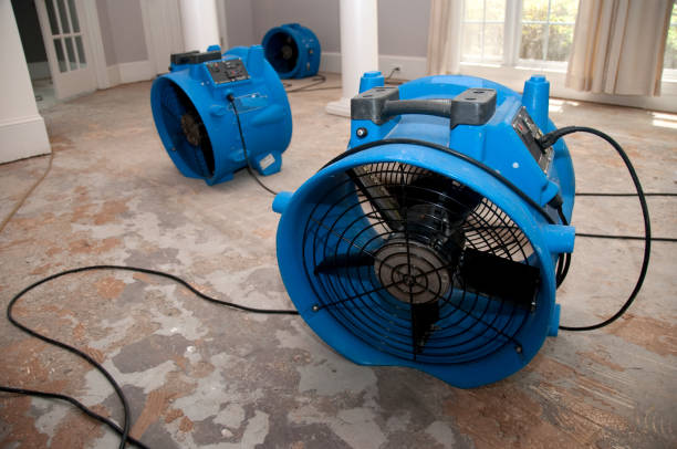 Best Water damage restoration services  in Gardner, IL