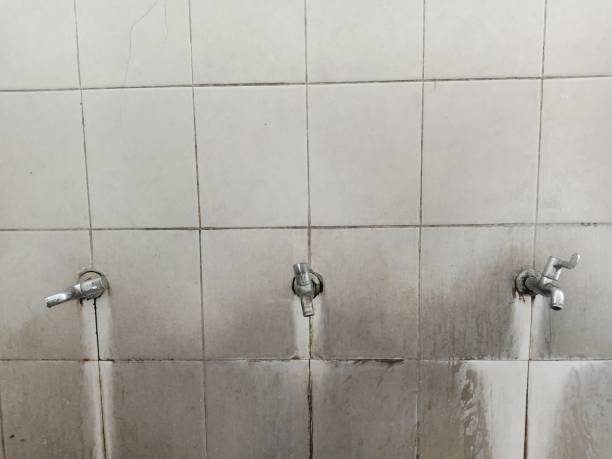 Best Carpet water damage restoration  in Gardner, IL