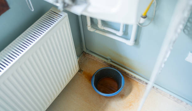 Best Flood damage cleanup  in Gardner, IL