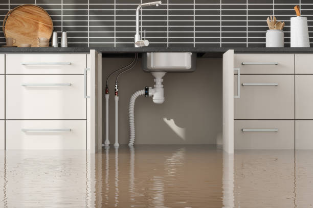 Best Water damage cleanup near me  in Gardner, IL