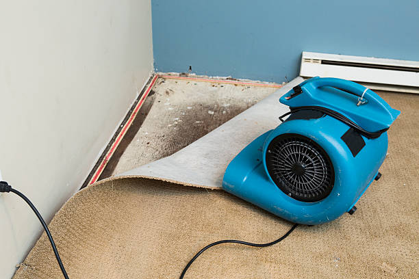 Best Flood restoration services  in Gardner, IL